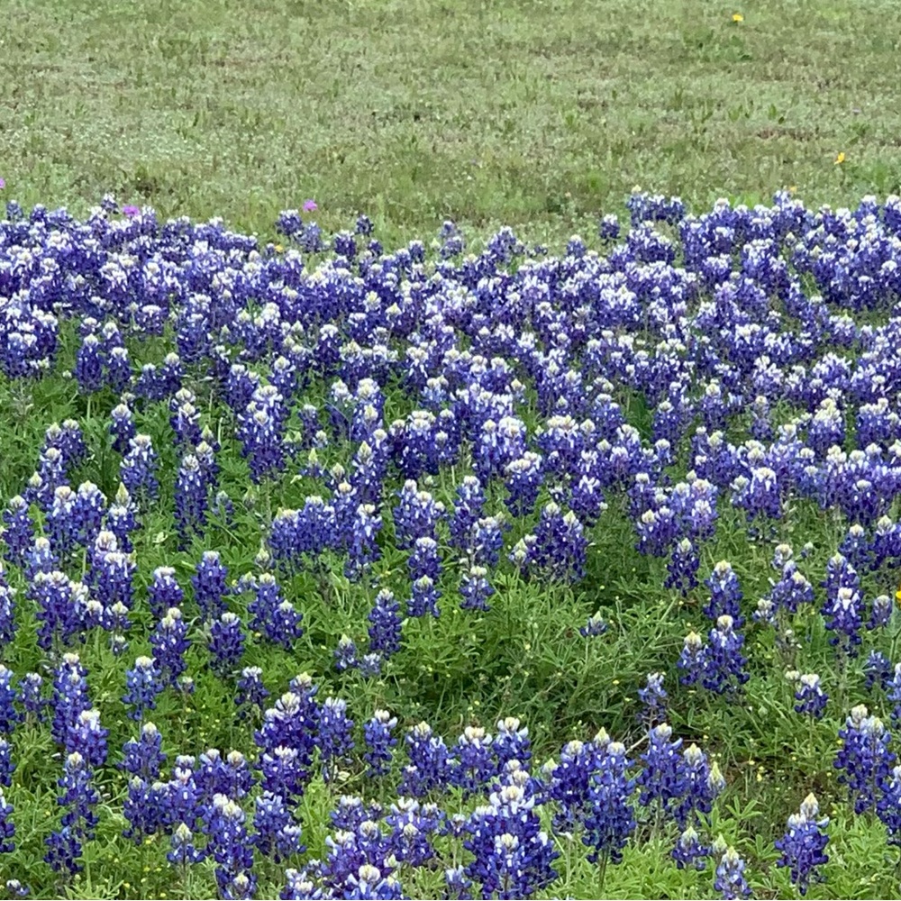 Meet your Posher, Gretchen